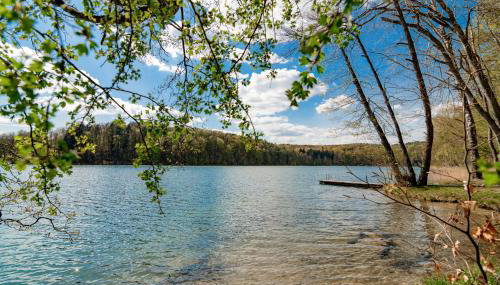 Apartament Forest - Foto 4