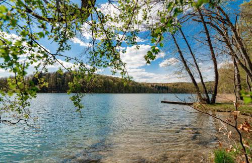 Apartament Forest - Foto 4