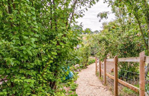 Fig Tree Shepherds Hut - Cottage - Foto 10