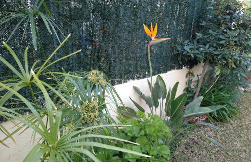 Precioso chalet en la playa de Tavernes de la Valldigna - Foto 23