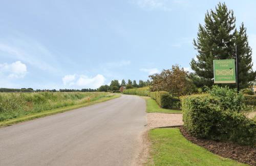 Golson Stable - Foto 26