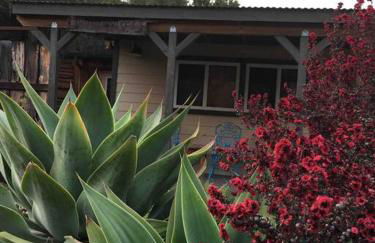 Pacific Coast Hwy Bunkhouse in San Luis Obispo - Foto 9