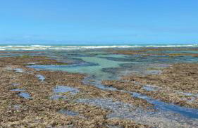 Casa da Cabana Guajiru - Foto 58