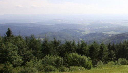 Haus Burgblick - Foto 5