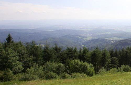 Haus Burgblick - Foto 5