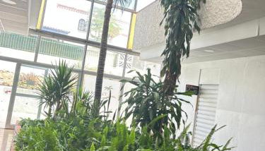 Sunny Central near Yumbo and Dunes - Foto 4, Garden view