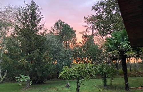 Maison en forêt, calme, proche village et piste cyclable - meublé 3 étoiles - Foto 6