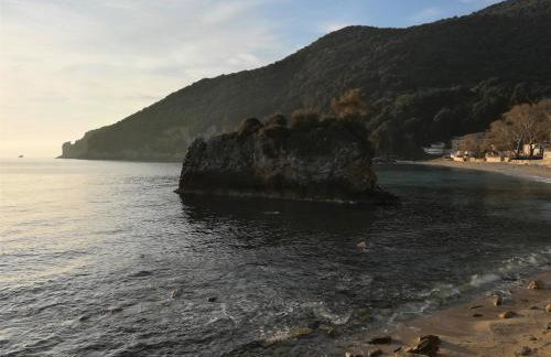 Feel at Home - Photo 38