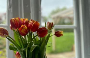 Come and stay at Little Wick - Foto 49