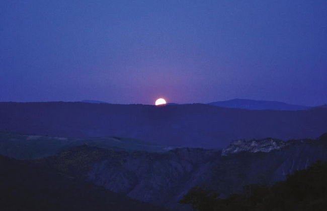 Masseria Straziuso - La Vaccariccia - Photo 21