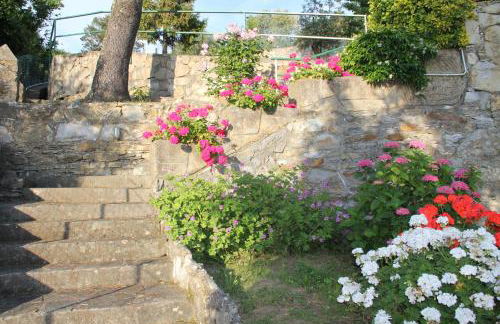 Host alla Millenaria - Foto 27