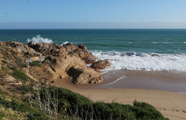 Southern Sands Beachfront Apartment - Photo 21