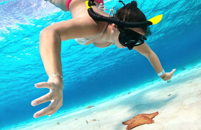 Snorkelling in a Turtle Sanctuary - Photo 11