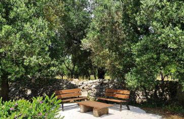 Trullo Tranquillo Ostuni - Foto 8