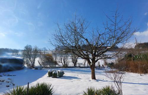 Ferienwohnung Klärchen mit Balkon - Foto 12