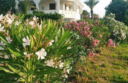 Il Canneto di Selinunte - Foto 28