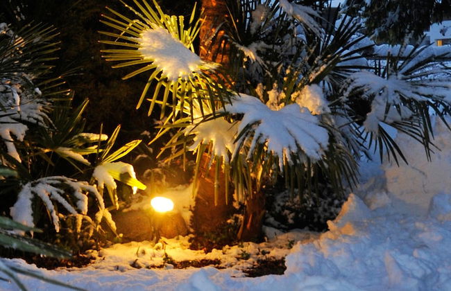 Apparthotel Gartenresidence Nalserhof - Photo 80