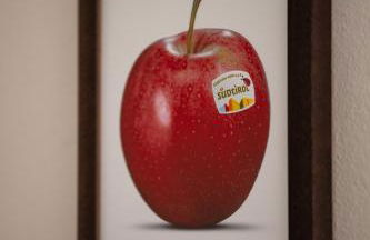 Untermoarhof Albeins - Foto 26