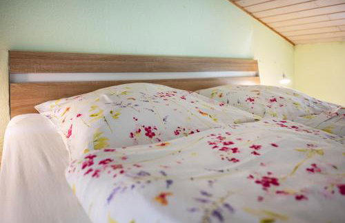 Fluss aufwärts - Photo 3