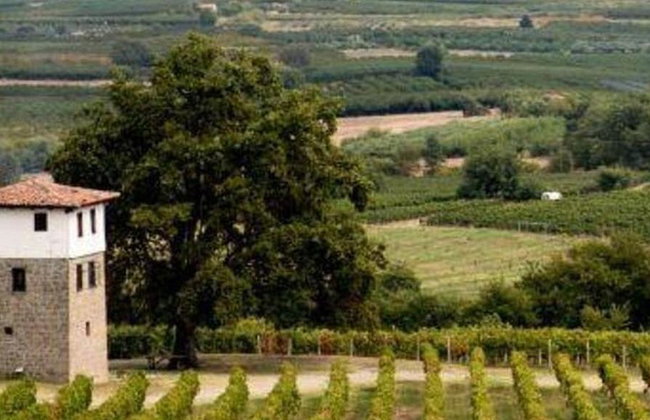 Vergina, Naousa and Edessa - Full-Day Private Tour - Foto 1