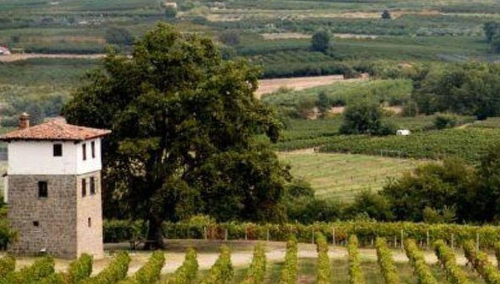 Vergina, Naousa and Edessa - Full-Day Private Tour - Foto 1