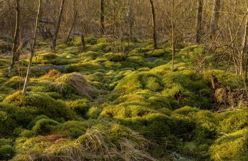 63qm im Eschachtal - Foto 7