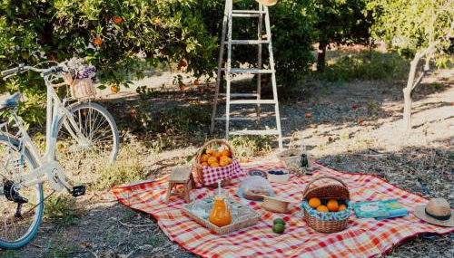 Apartment Studio auf dem Lande by Interhome - Foto 2