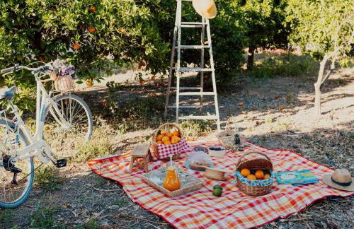 Apartment Studio auf dem Lande by Interhome - Foto 2