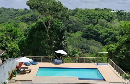 Bosque dos Camarás Panorâmico - Foto 1