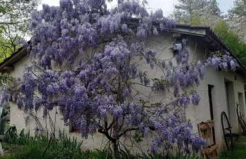 L'Hirondelle - La Cipière Gîtes - Foto 25