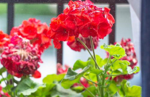 Aresti Old Town by Bilbao Living - Photo 27