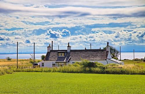 Beachcombers - Foto 52