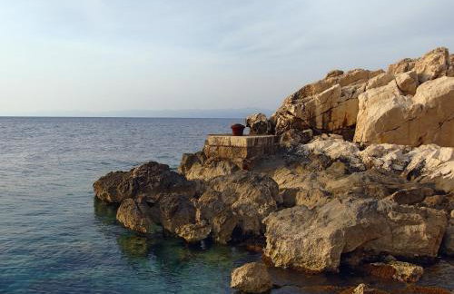 Apartment Cacini Dvori - Foto 23