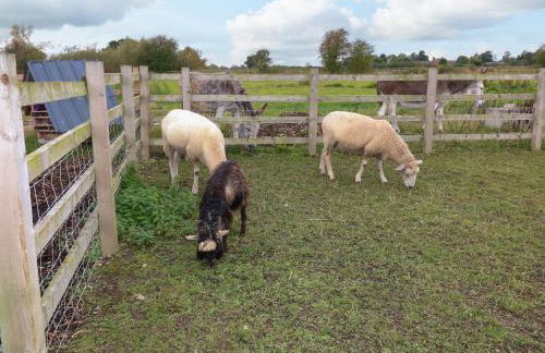 The Stable - Foto 29