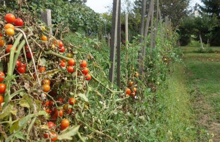 Apartment Mia - Foto 59