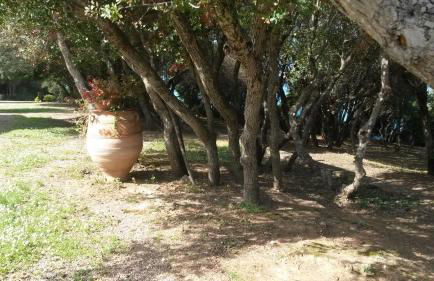 Villa Feia - Photo 30