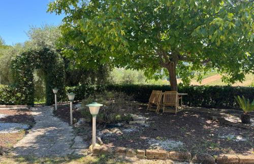 Vineyard Farmhouse in Massignano - Foto 14