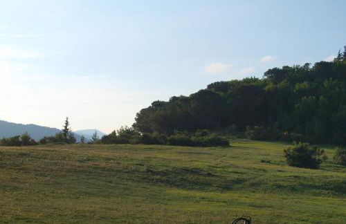 Agriturismo Becerca Vegan - Foto 42