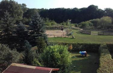 Reiterhof Groß Stubben - Foto 28