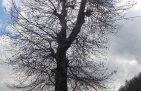 Αρχοντικό στο Διπόταμο - Foto 15