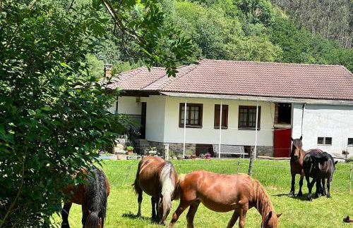 La casita de Olivia Espinaredo - Foto 40