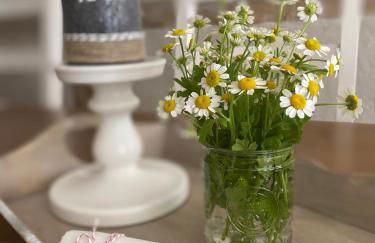 Ferienhaus Anno 1599 - Foto 14