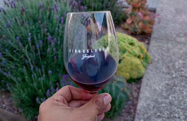 Dégustation de vin à la cave Freixenet + Dégustation de fromage à la cave Bocanegra - Photo 7