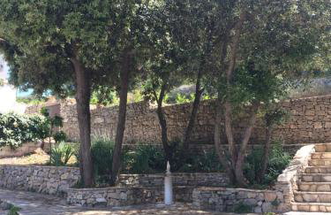 Apartment in Maslinica 70m from the sea - Photo 48