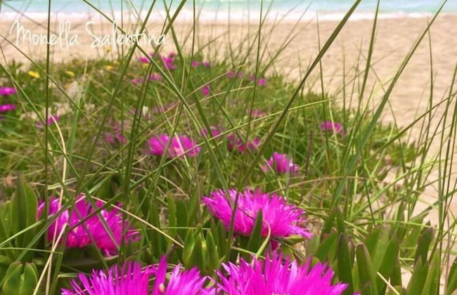 Holiday Home" C'era una Volta" - Foto 40