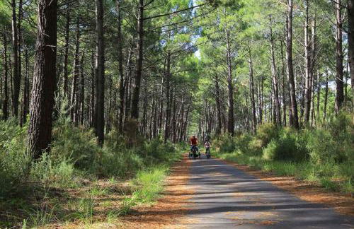 Les Terrasses du Lac L58 - Foto 12