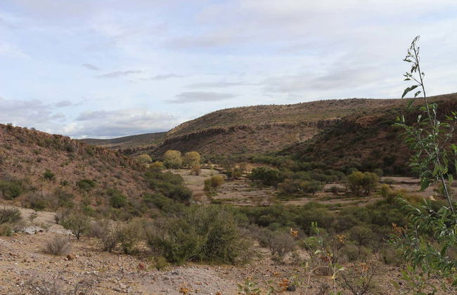 Excursion à San Juan del Río - Photo 2