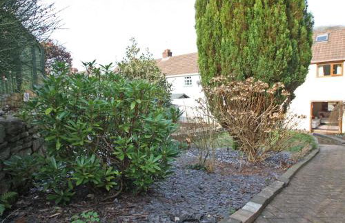 Springer Cottage - Foto 13