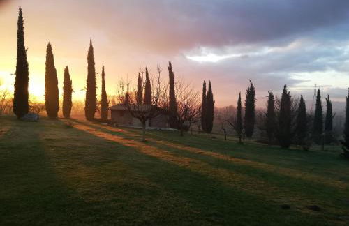 Agriturismo Podere Bianca Maria - Foto 9