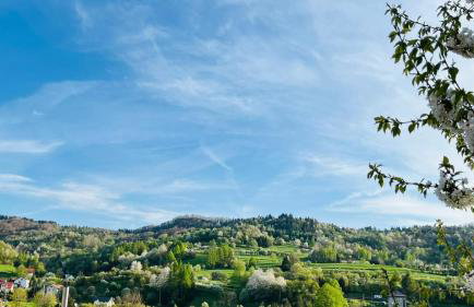 Domki Pienińskie Tarasy - Photo 24